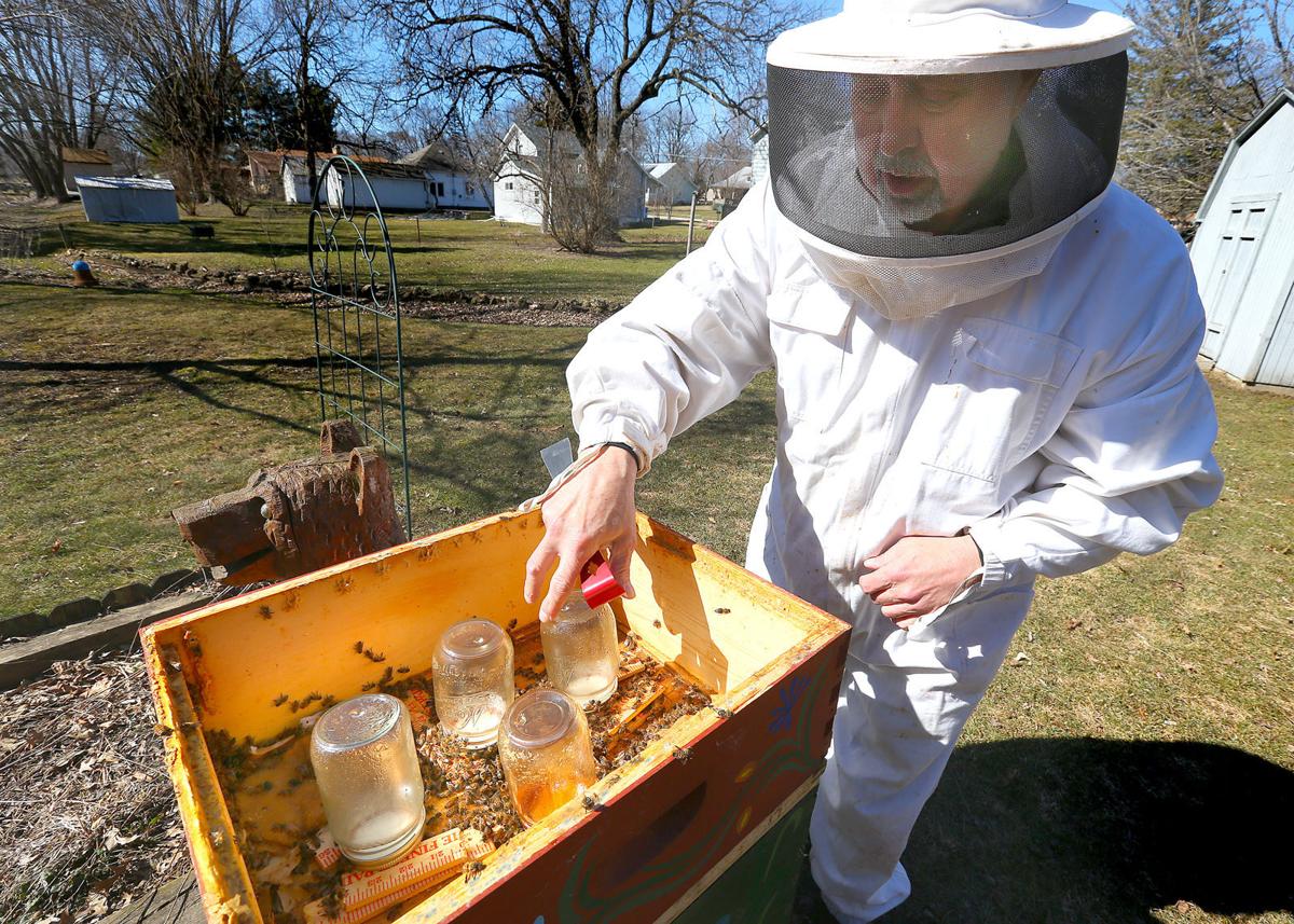 Efforts to slow bee decline continue in Minnesota | | winonadailynews.com