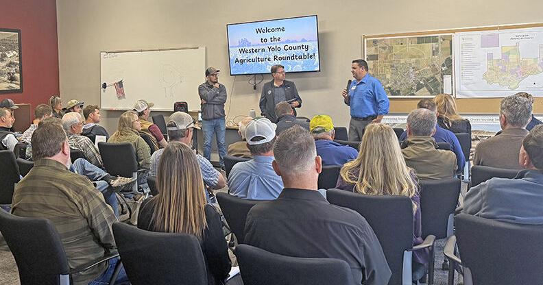 Roundtable connects Yolo farmers, Supervisors on water well concerns Jacob Hoffman, Express correspondent Nov 13, 2025 15 mins ago