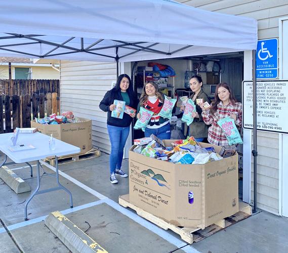 RISE looks to expand services across rural Yolo County | Features ...