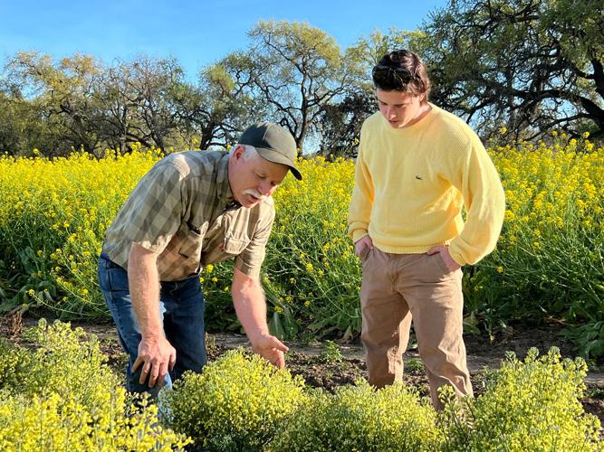 Hands-on experiences vital to a career in agriculture | Features ...