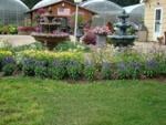 Twin Creeks Nursery & Greenhouses