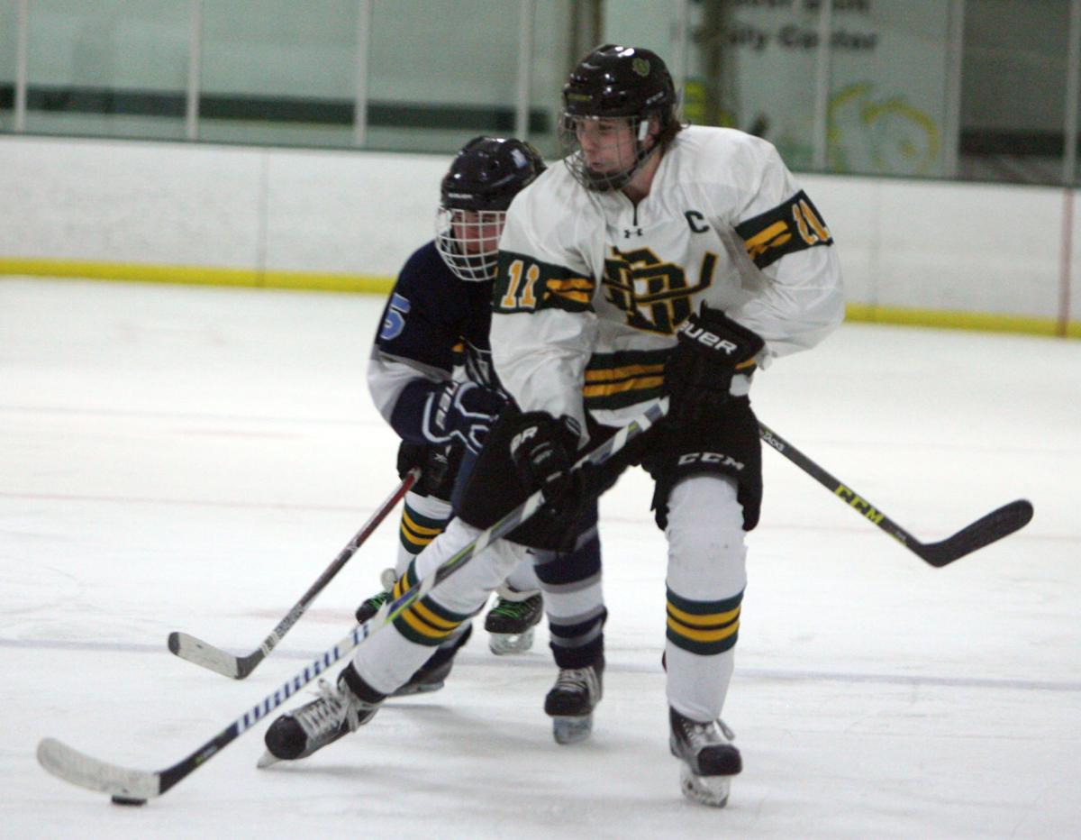 BOYS HOCKEY Reedsburg/Wisconsin Dells capitalizes on Beaver Dam