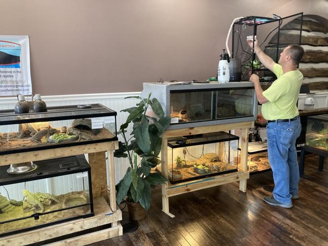 You're gonna wanna an iguana after visiting Portage's new reptile