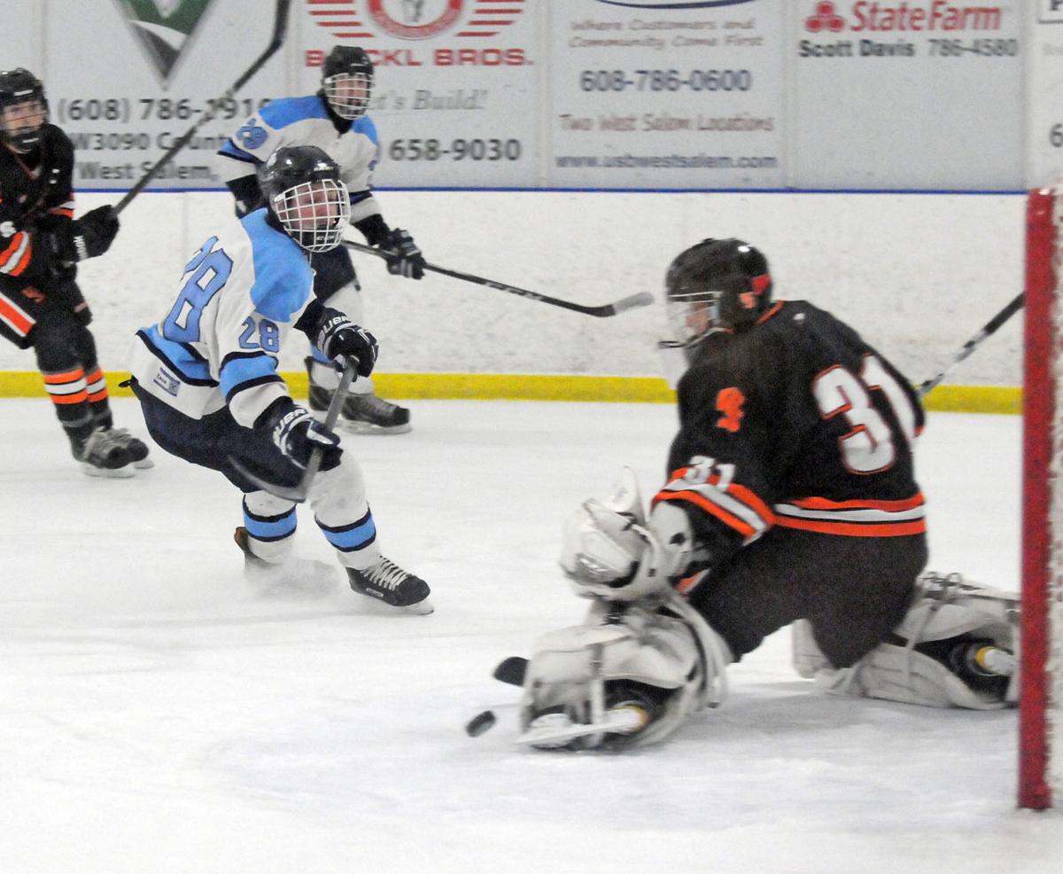 PREP BOYS HOCKEY Reedsburg/Wisconsin Dells suffers 32 loss to West