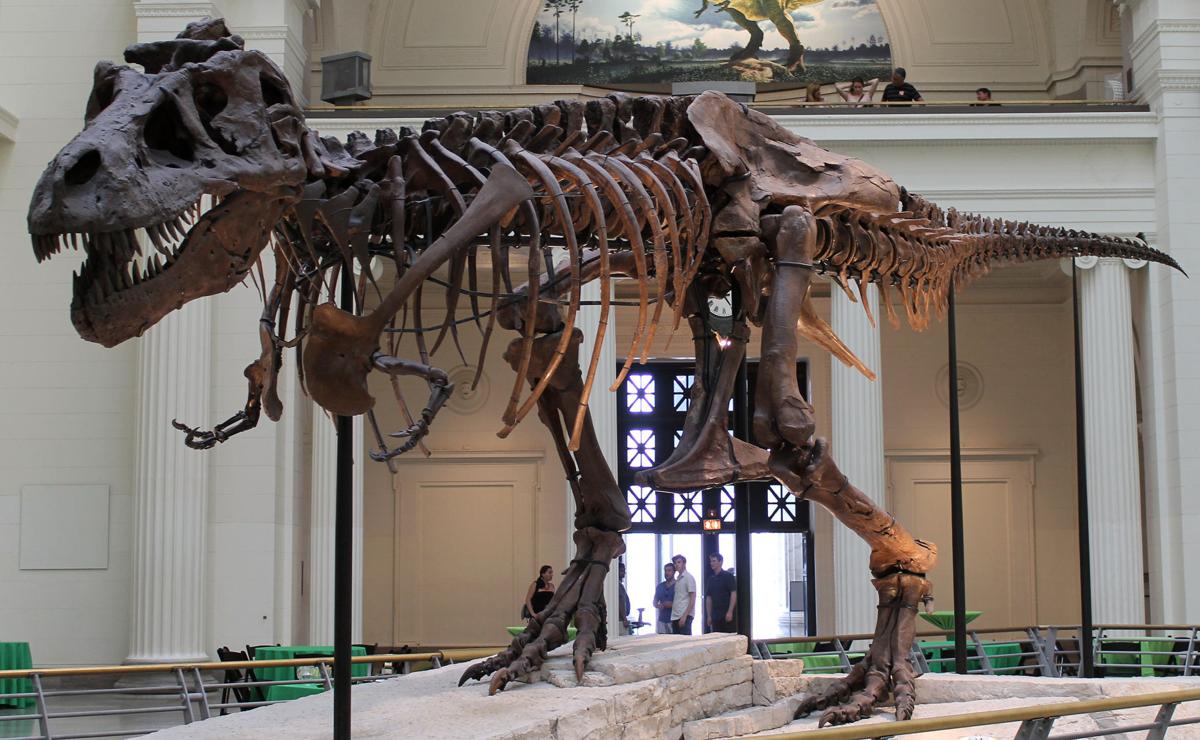 famous t rex
