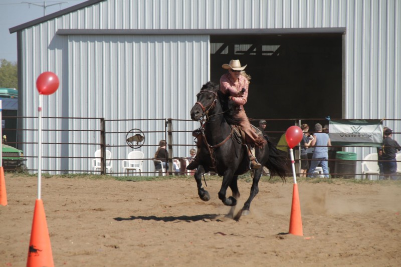 MOUNTED JUSTICE SHOOTS TO THRILL Group shows off fastgrowing equine