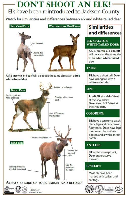 Elk versus deer