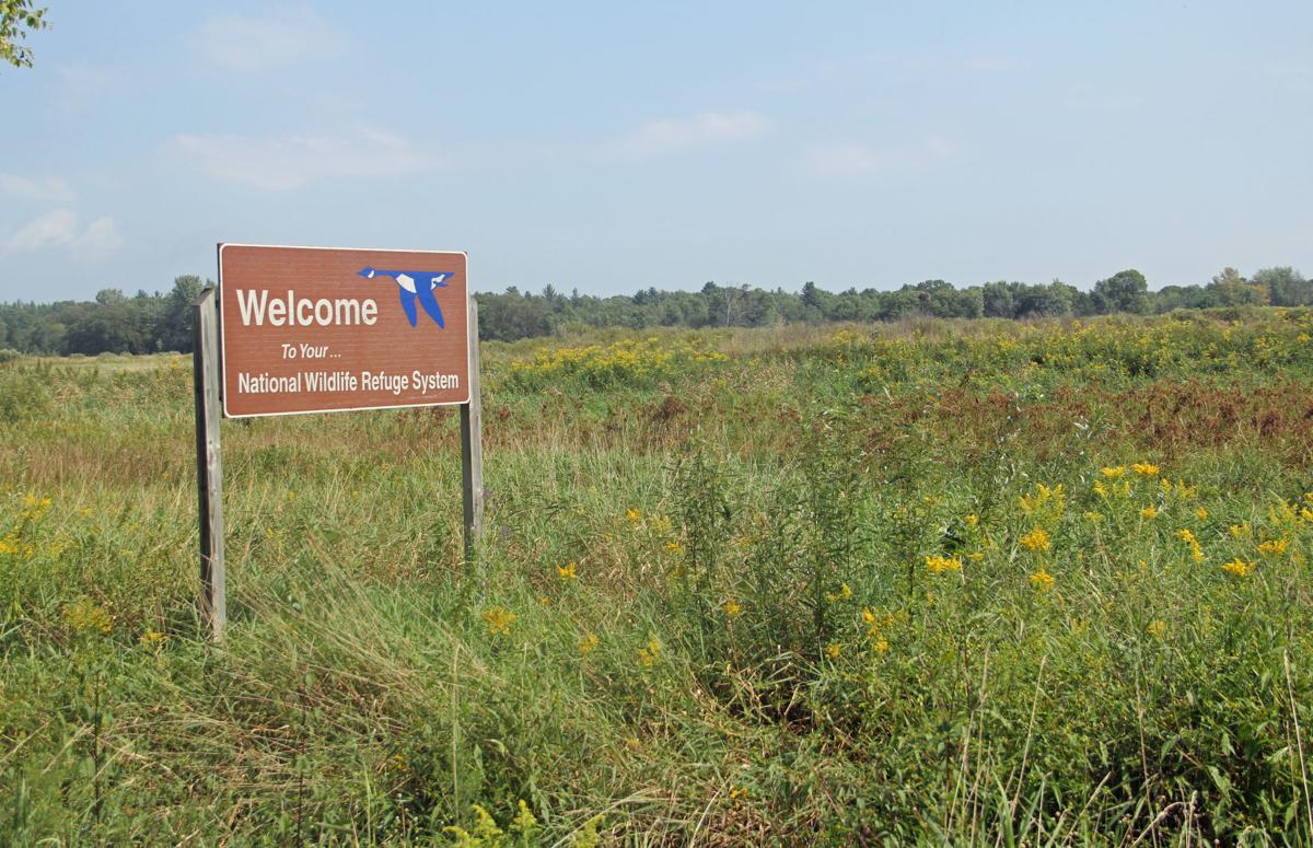 IN DEPTH Necedah wildlife refuge looks to continue to adapt and grow