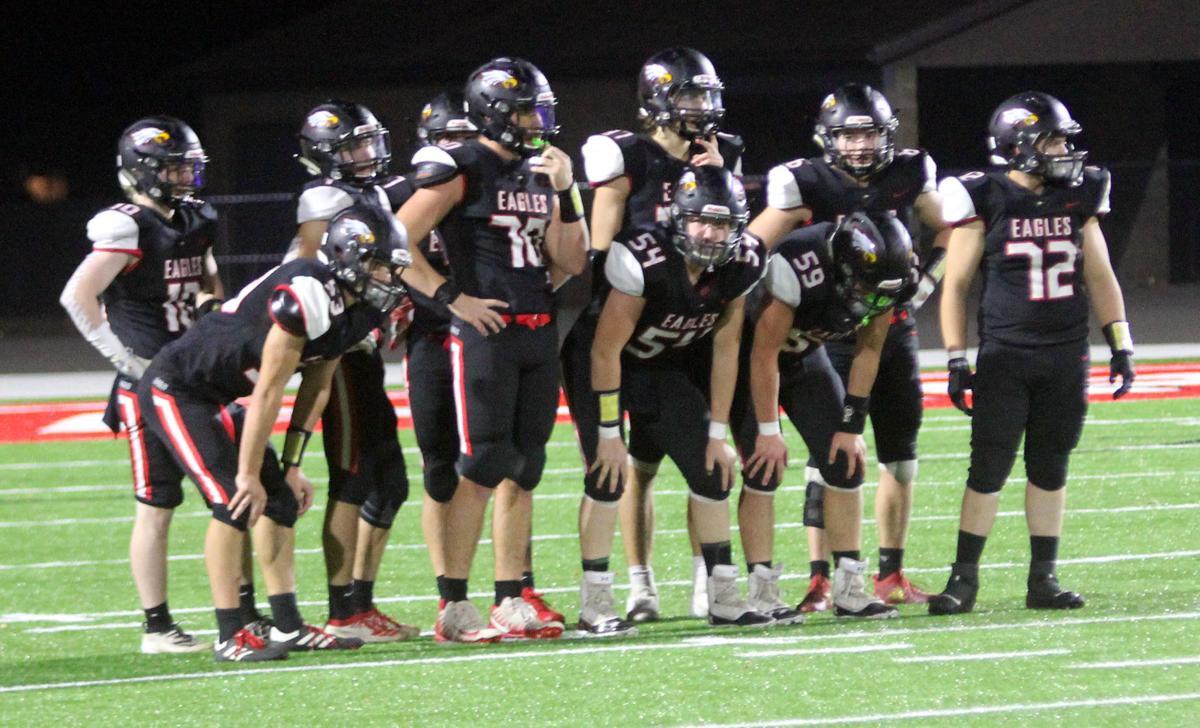 PREP FOOTBALL Wallace hired to coach Sauk Prairie Football