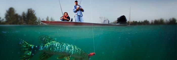Fishing Licenses