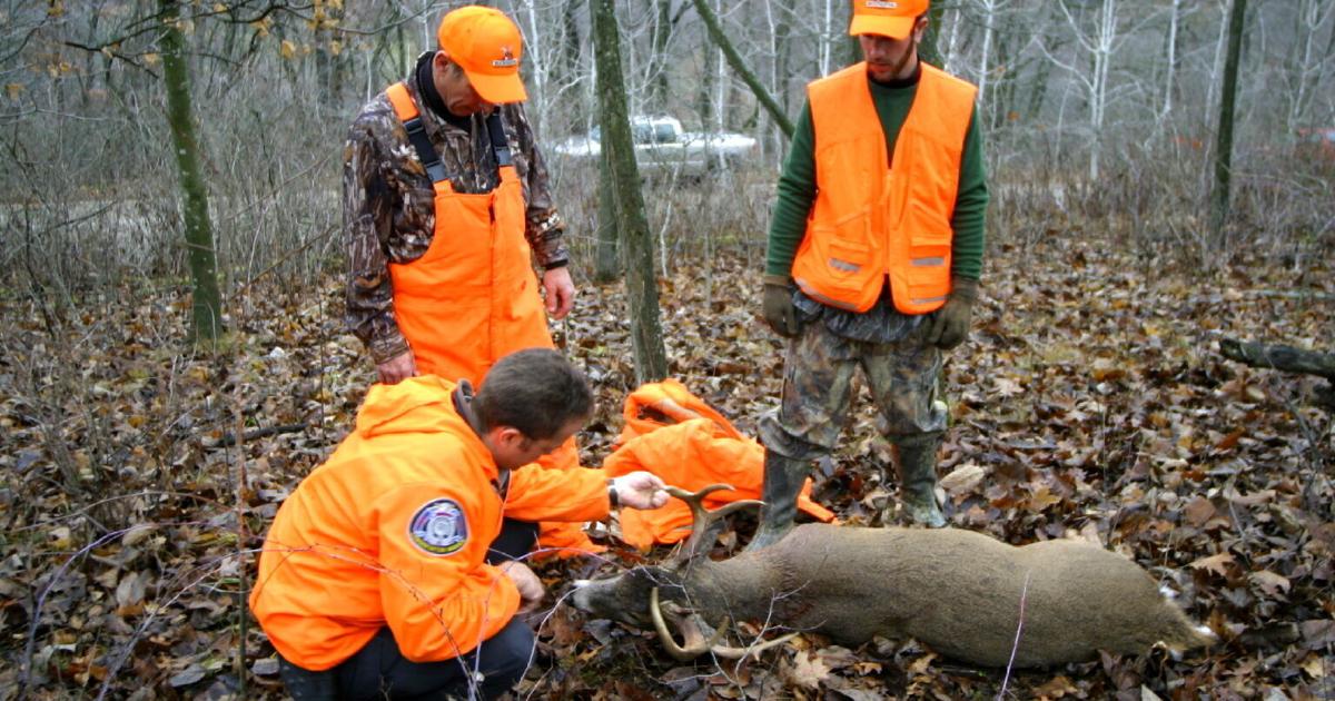 Hunting Inspection Place How wardens enforce hunting regulations for the safety of all