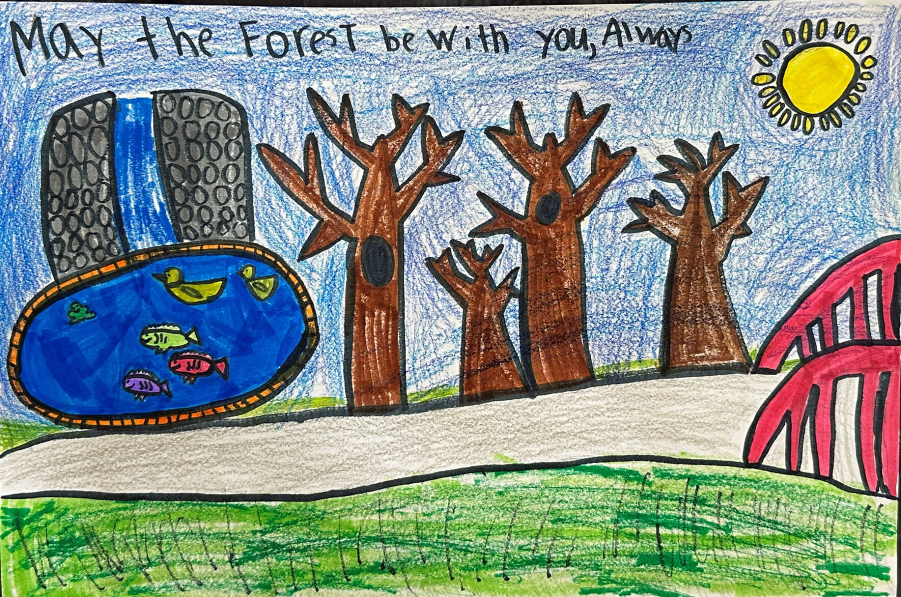 Youth Conservation Awareness Poster 2-3 grade