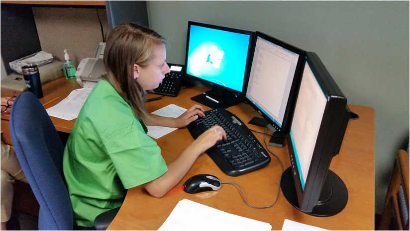 Students in the Project SEARCH program search for successful lives and ...