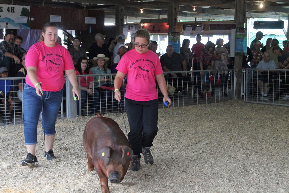 Pig Pals
