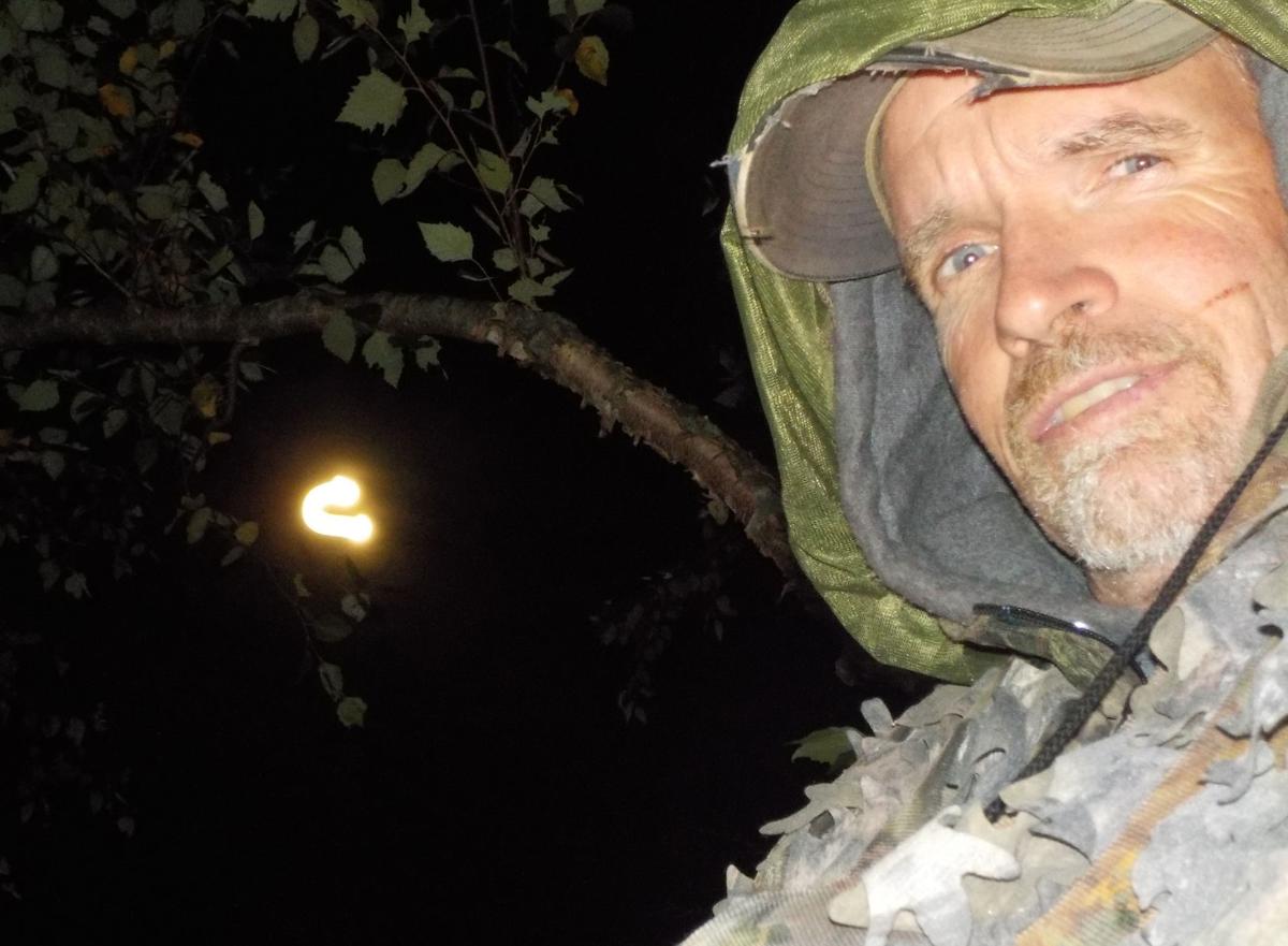 Tree stand view