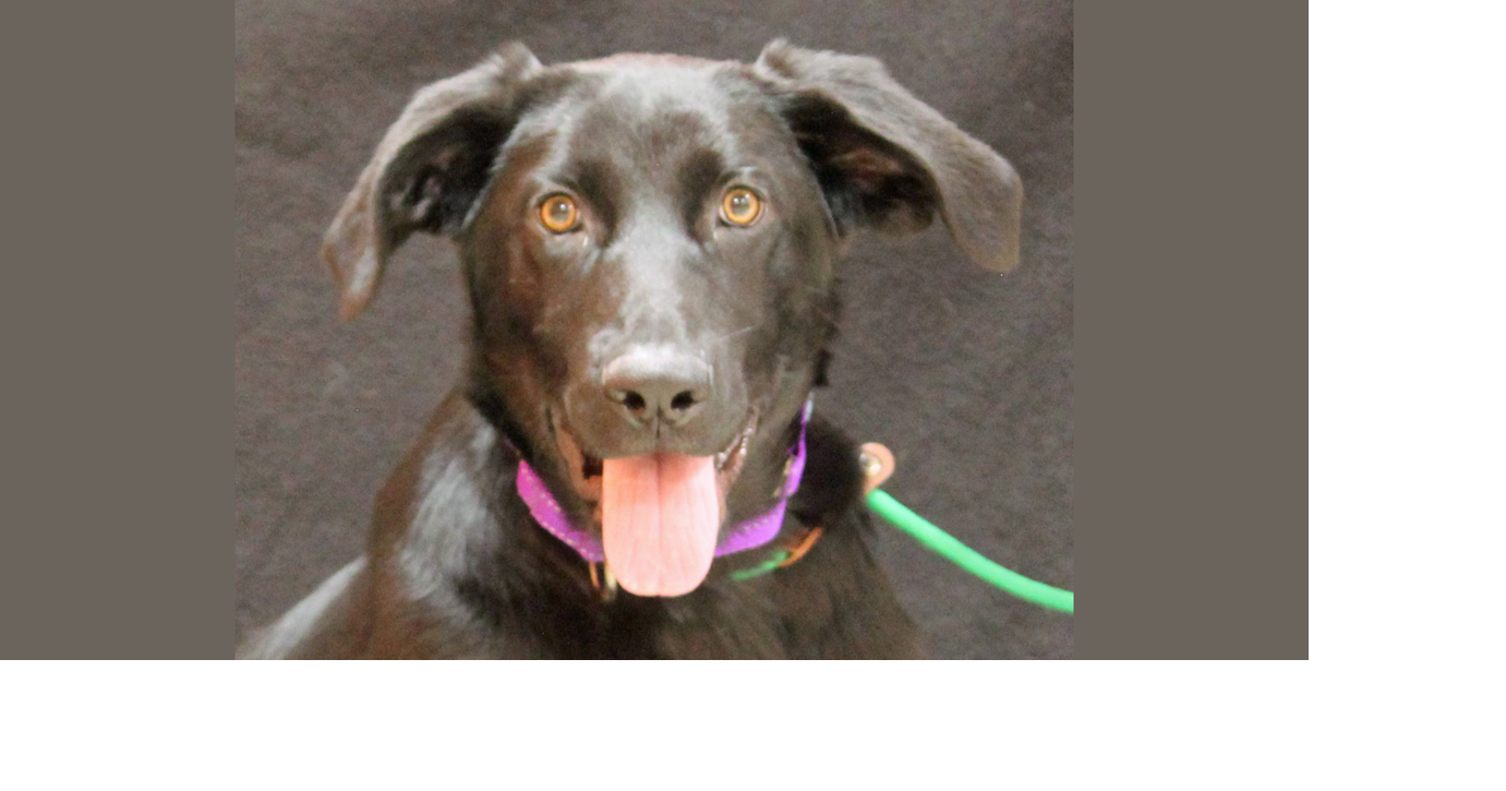 PETS OF WEEK: Big Berta and Dorian