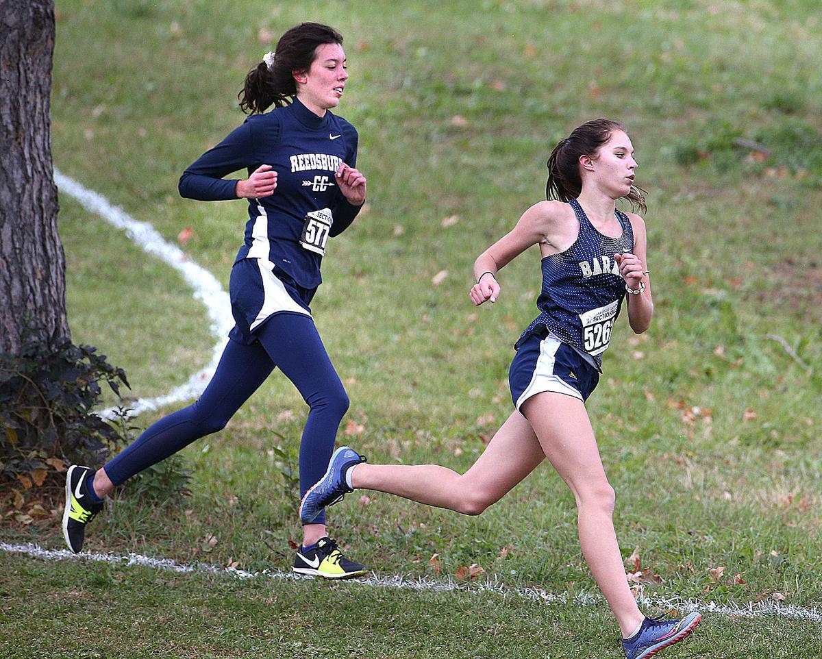 PREP CROSS COUNTRY Baraboo, Sauk Prairie, Reedsburg get individuals