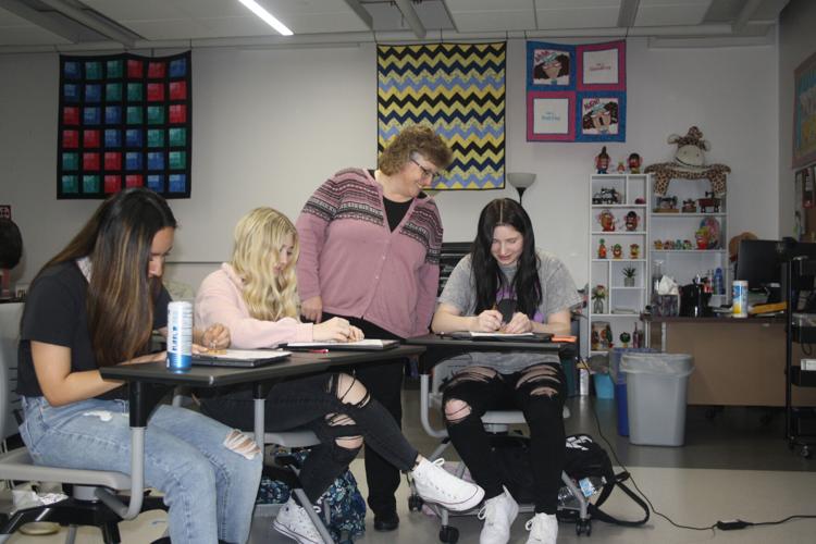Sue Strutz teaches at WDHS