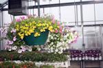 Jeff Hicken Horticultural Learning Center
