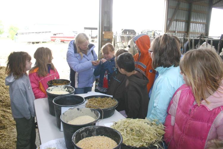 WonewocCenter students enjoy a dairy good day on the farm