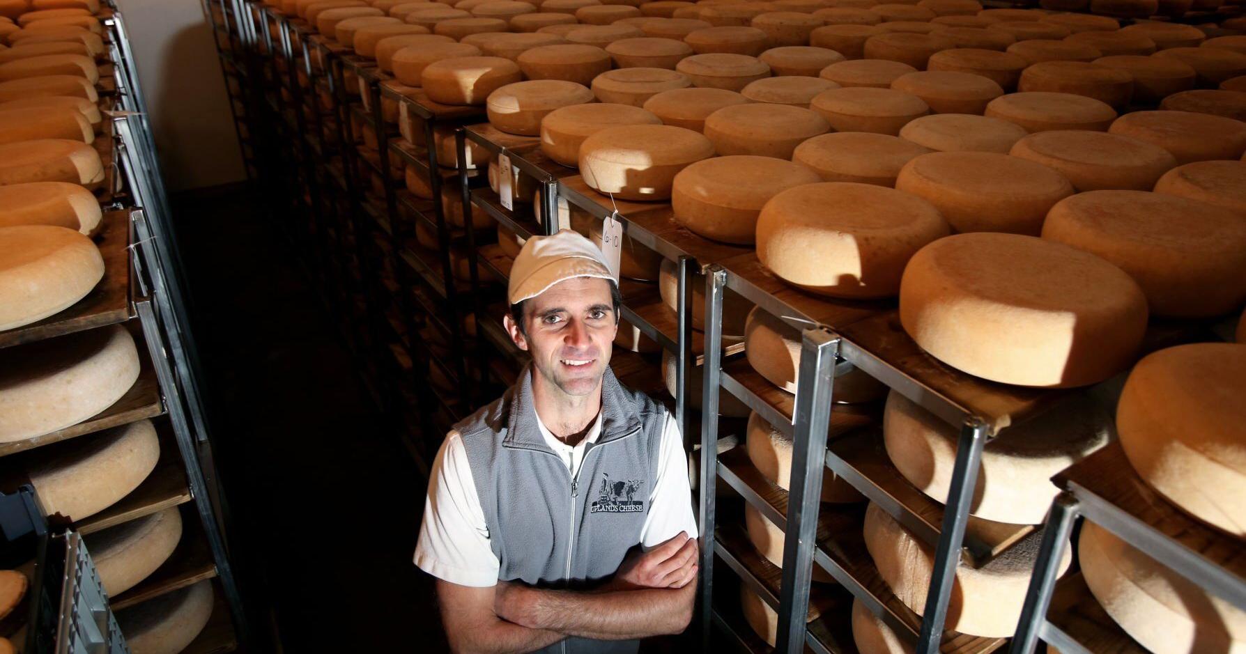 New Art of Cheese Festival comes to Madison - Vimarsana News
