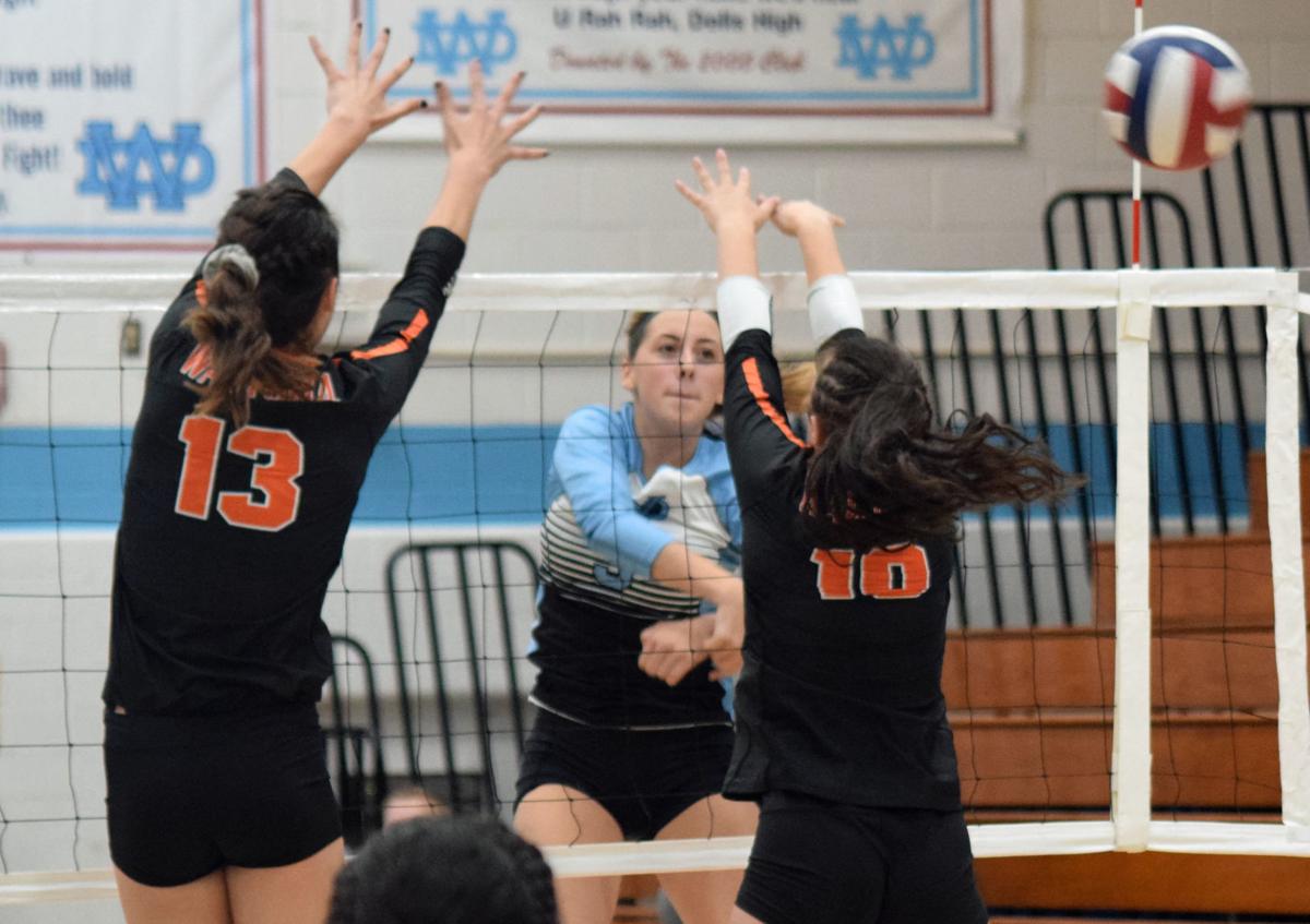 PREP VOLLEYBALL Wisconsin Dells keeps SCC title hopes alive with trio