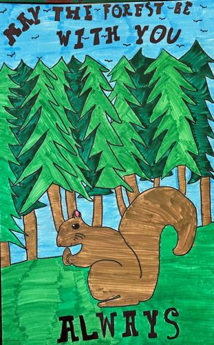 Youth Conservation Awareness Poster 4-6 grade
