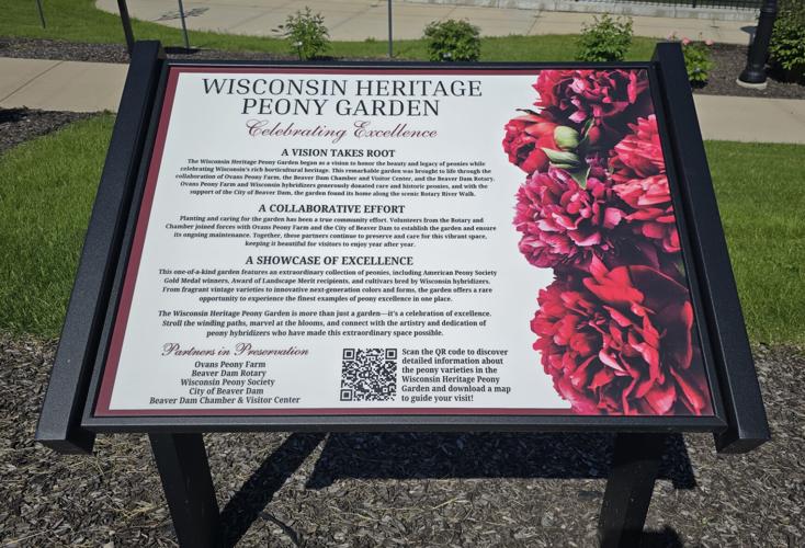 Designated as one of only 13 American Peony Society Reference Gardens in the United States by the American Peony Society, the Wisconsin Heritage Peony Garden at Rotary Riverwalk Park meets national standards for plant labeling, educational value, and public accessibility.