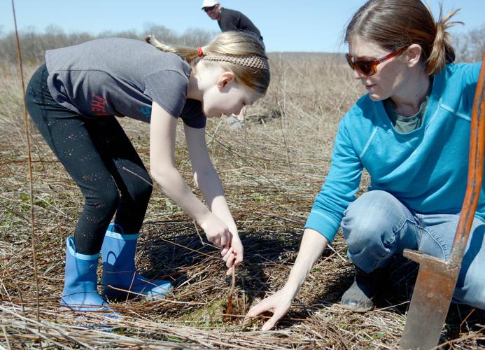 042419-wsj-news-tree-planting