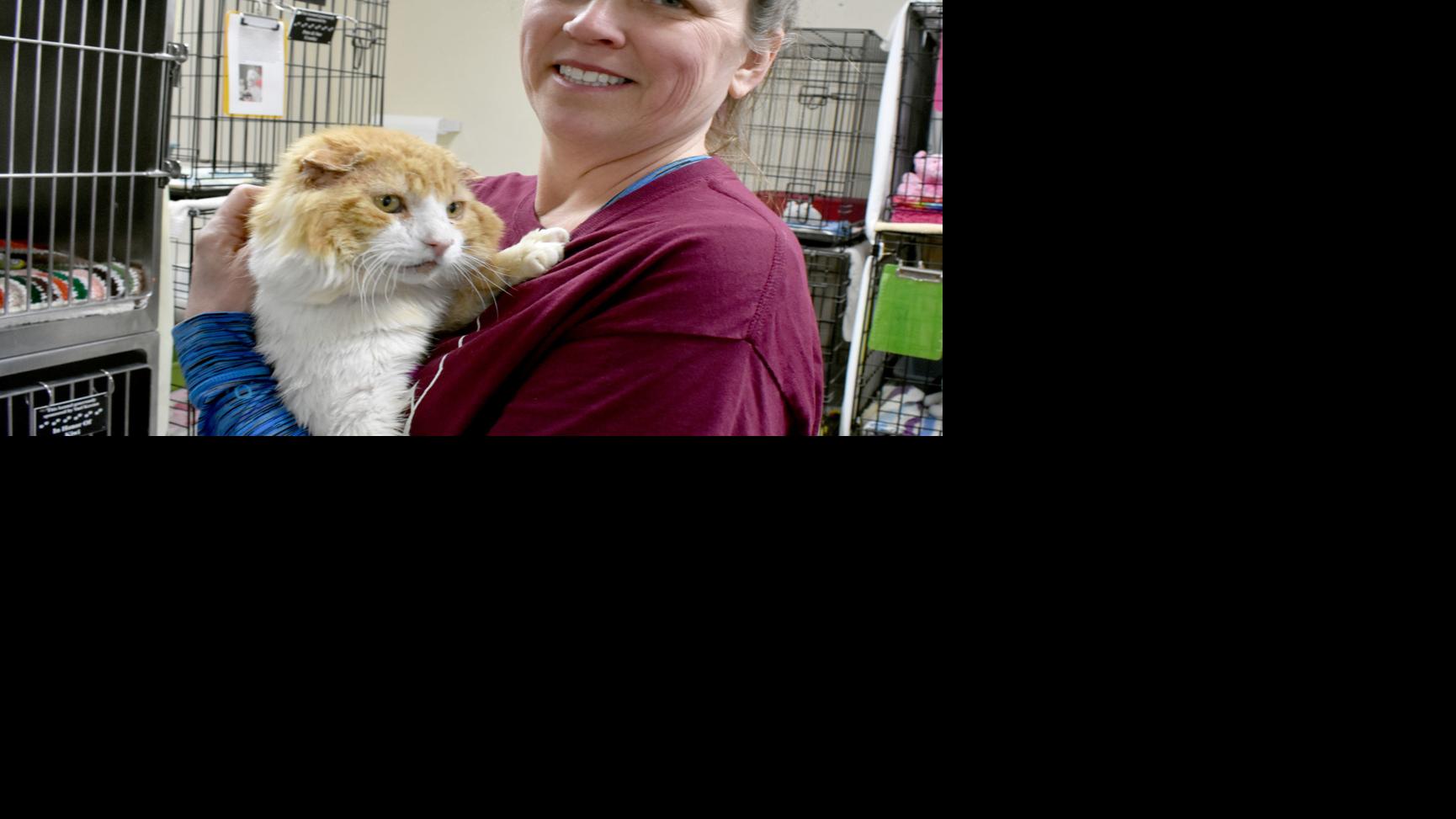 Columbia County Humane Society Holds Open House After Break In