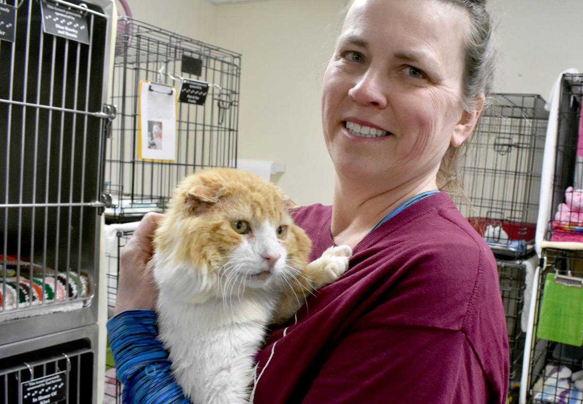Columbia County Humane Society Holds Open House After Break In