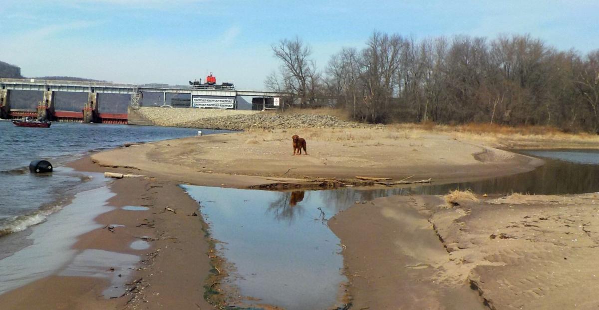 Sandbar