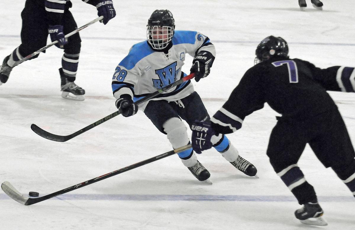 PREP BOYS HOCKEY Experienced Reedsburg/Wisconsin Dells team looking