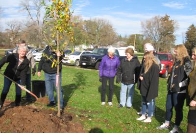 Memorial tree planted, dedicated