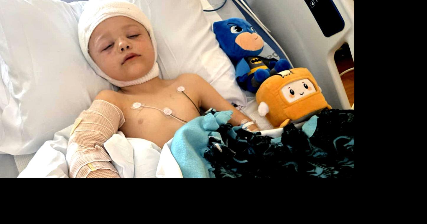 Wisconsin boy recovering after vicious dog attack