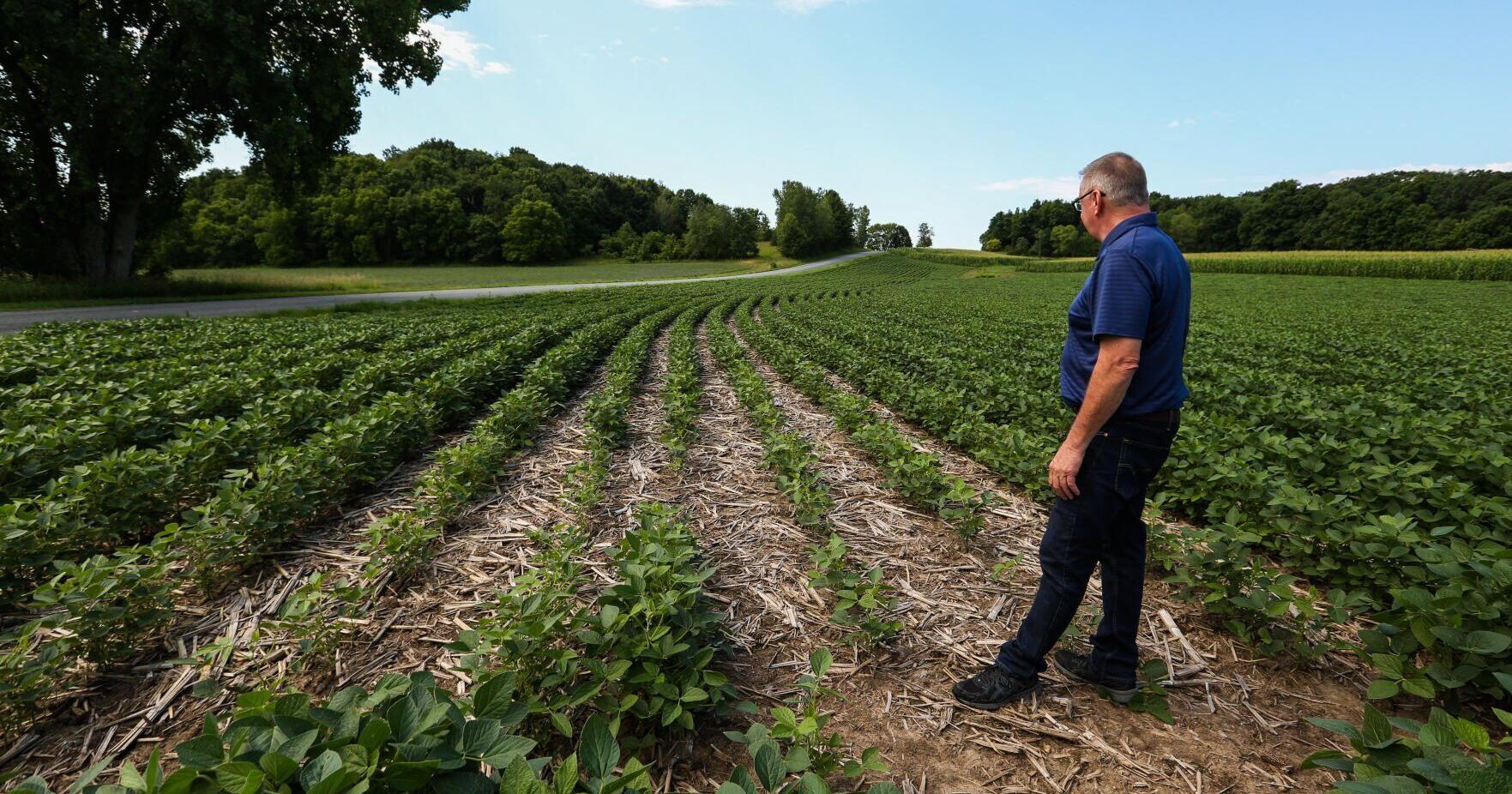 Drought to impact yield in La Crosse, Winona, Chippewa Falls - Vimarsana News
