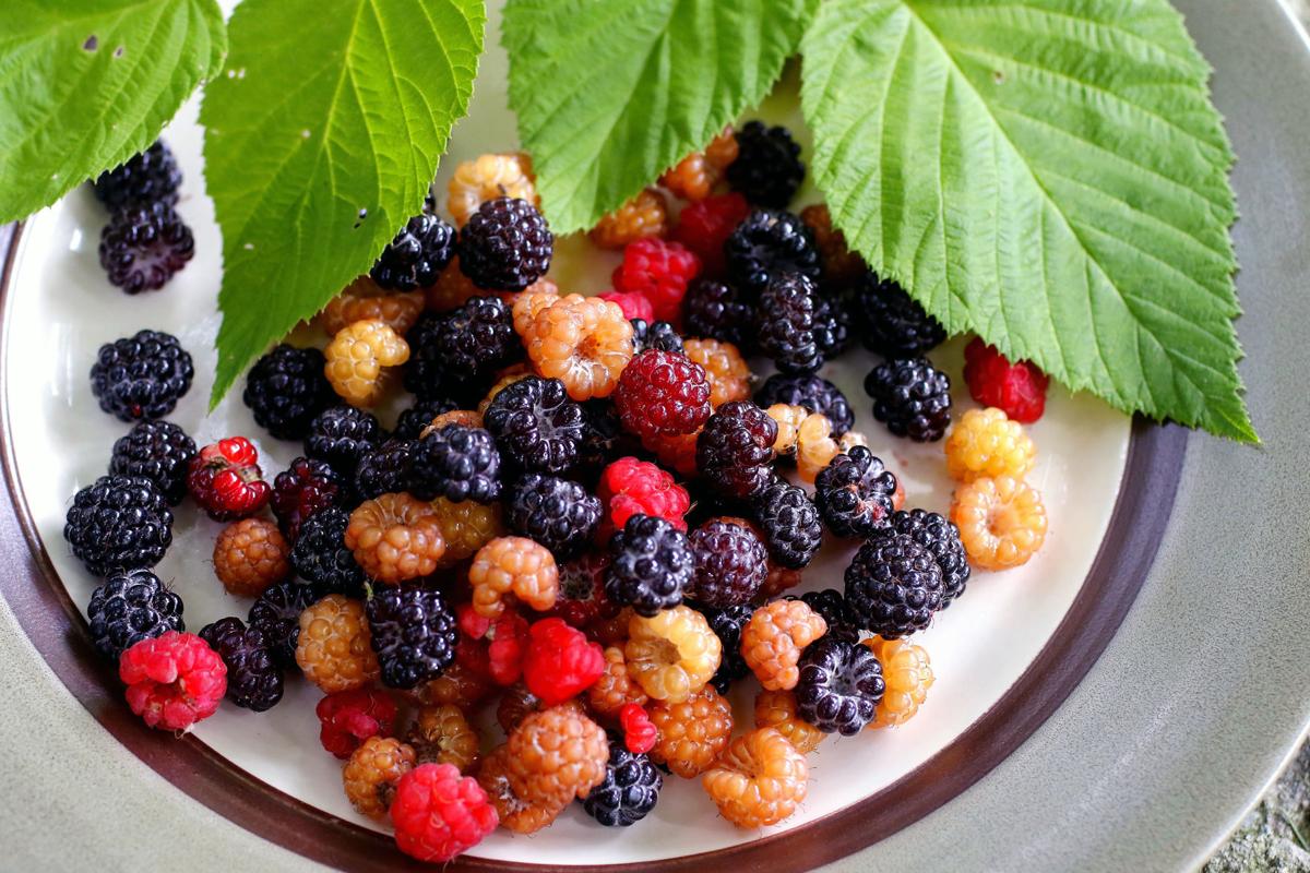 Davis Column Berry Picking Remains Popular Despite Wardrobe
