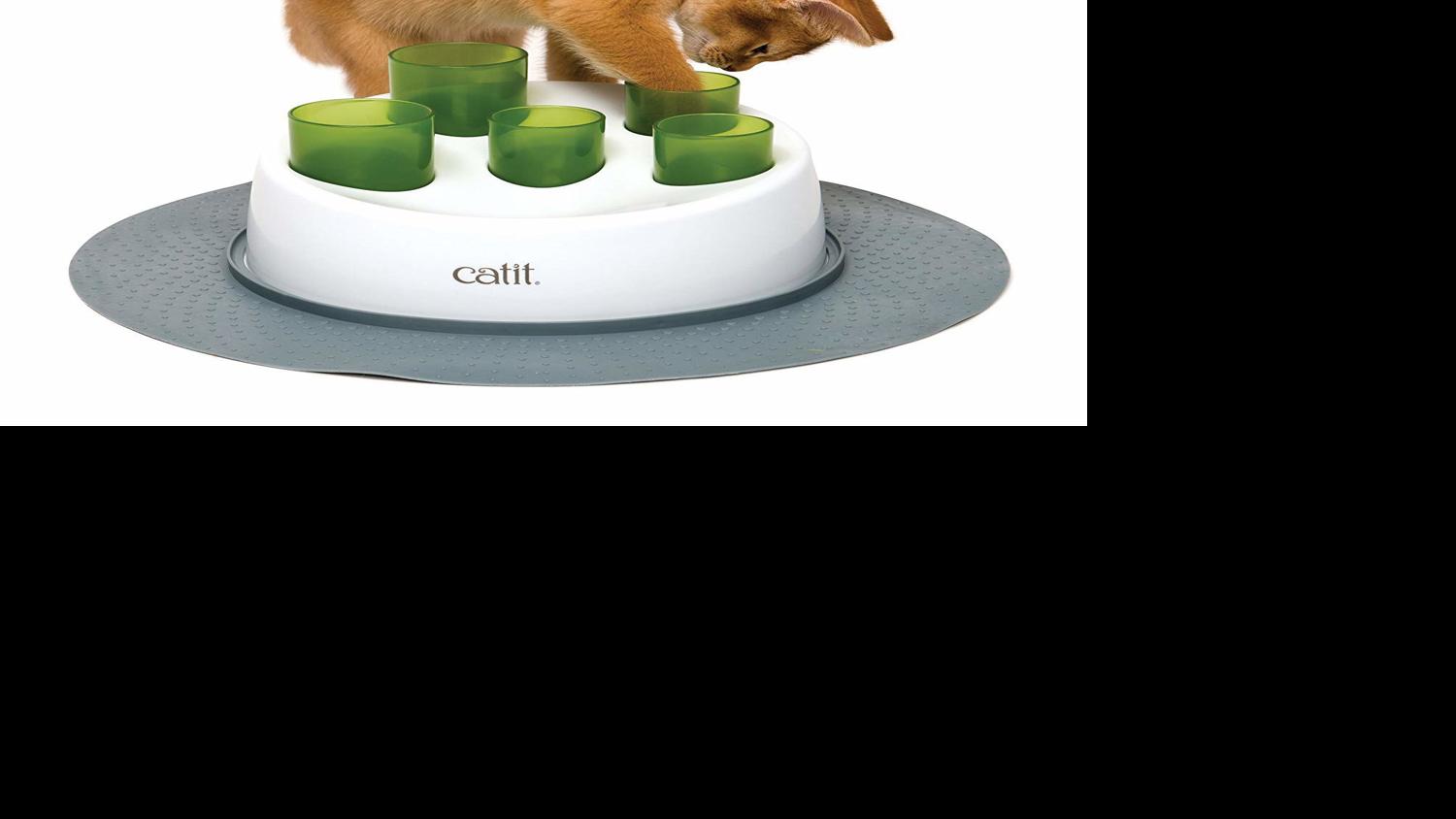 These Interactive Toys Will Keep Your Cat Entertained Pets