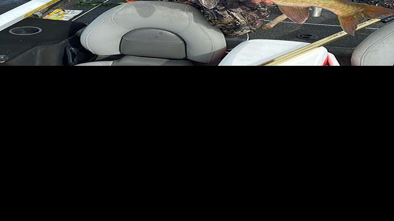 Fishing Mike Raczynski Of Fox Lake Son Dan Haul In Big Musky To Qualify For Pro Musky Tournament Trail Championship Outdoors Wiscnews Com Improving this quality is crucial for many bodyweight exercises and often a major weak point for many. fishing mike raczynski of fox lake