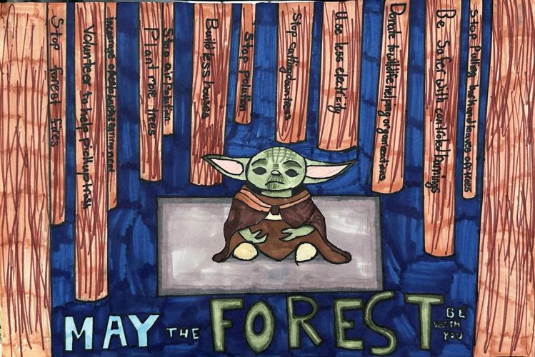 Youth Conservation Awareness Poster 7-9 grade
