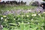 Jeff Hicken Horticultural Learning Center