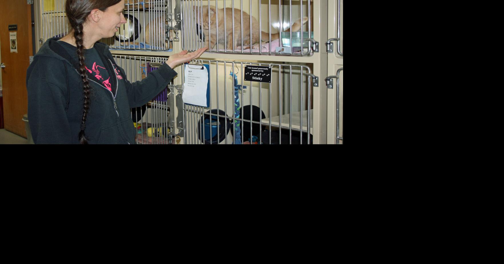 3 ways to support Columbia County Humane Society this season