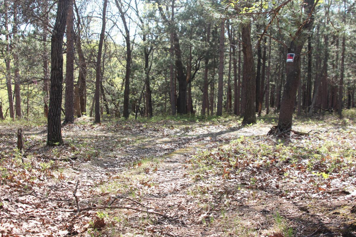 Camp Douglas will unveil new hiking and biking trail on Armed Forces