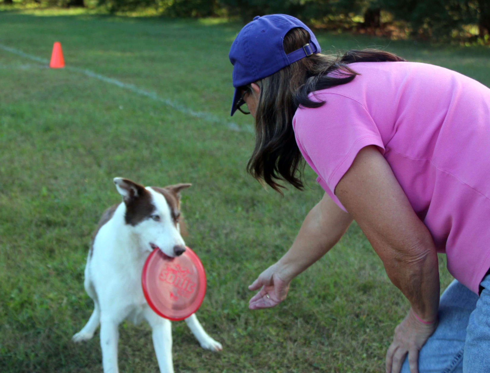 k9 frisbee toss and fetch