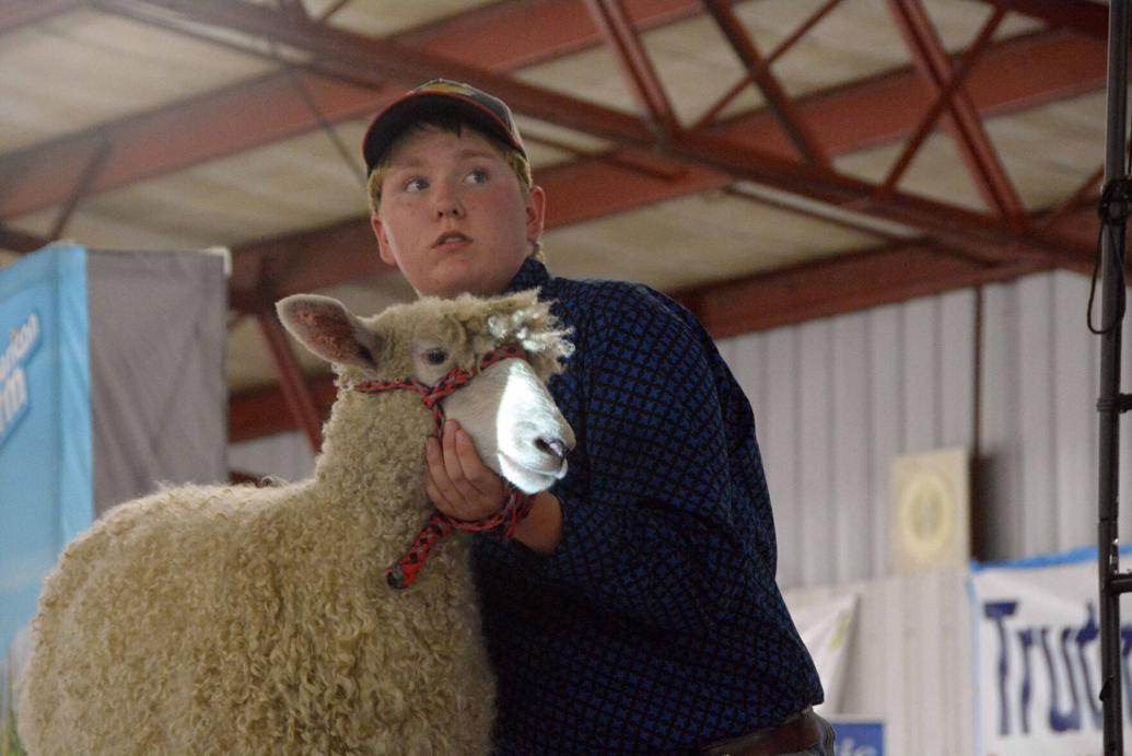 Sauk County Fair adds more than 130 exhibitors from 2021