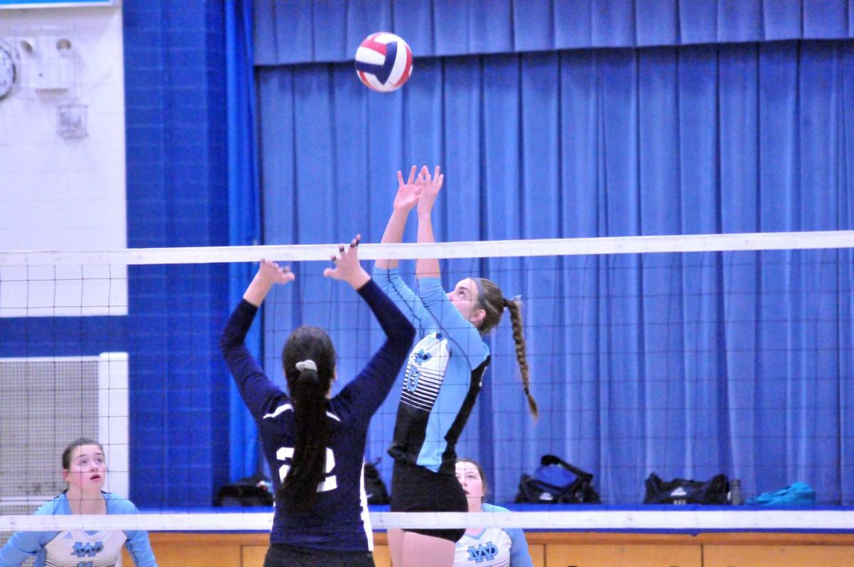 100117-dell-vball1