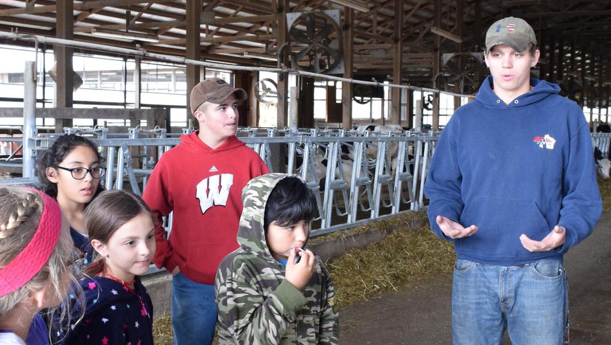 IN DEPTH: Farmers get older as obstacles for young farmers grow