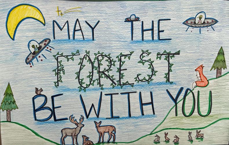 Youth Conservation Awareness Poster 10-12