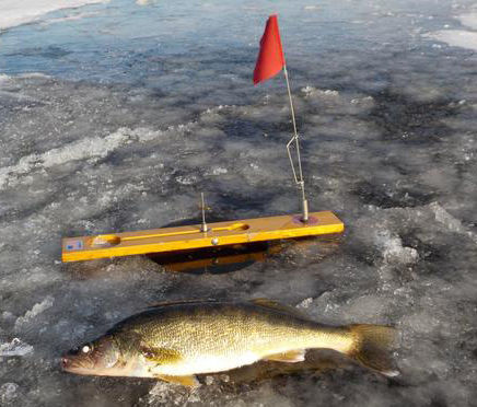 WALTERS COLUMN: Fishing on thin ice on Puckaway | Recreation | wiscnews.com