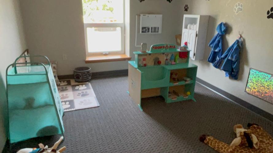 Vet room